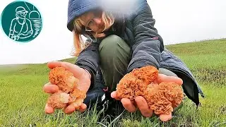 🍄 Walk for Morchella Steppicola 🌼 All the Fun Started on the Way Home 🌿 Picking Mushrooms