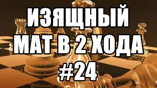 Шахматные задачи мат в 2 хода. Выпуск №24. Шахматы решение задач. Мат в два хода. Шахматные заметки.