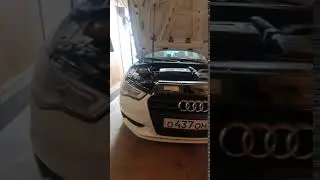 рабочие моменты (полиуретан)