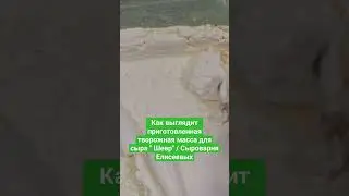 Как выглядит приготовленная творожная масса для сыра Белпер 