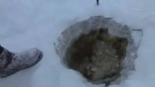 Проверка тычек на налима! Burbot fishing! 17марта2023г