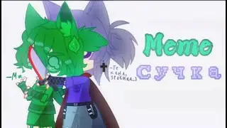 °~Сучка~° | • Meme • | 13 карт (Ч.О)