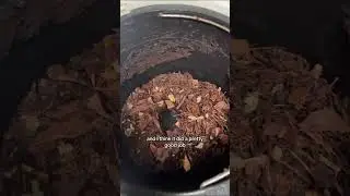 Does a Pela Case actually decompose?