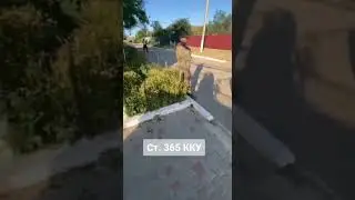 Как собаку застрелю! Будешь там в поле валяться!