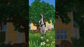 С Новым Годом💫✨ #starstable #sso