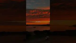 Nola - не чувствую 🕊️