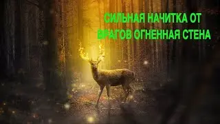 СИЛЬНАЯ НАЧИТКА ОТ ВРАГОВ ОГНЕННАЯ СТЕНА  ДЛЯ ВСЕХ  Инга Хосроева