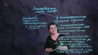 Холинергиялық синапс құрылысы мен қызметінің байланысы. 2 бөлім. 10 сынып.