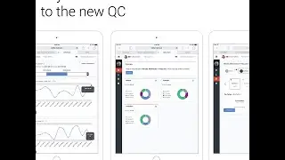 Reflections App: QC &  IVF