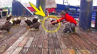 Hungry eagles surrounded the man. But what he did shocked everyone!