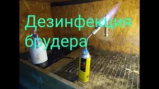 Дезинфекция брудера очень важная работа перед посадкой птицы
