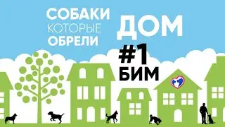 Собаки, которые обрели дом! Дом Бима и подарок на 1 сентября для Артема.Помощь Животным