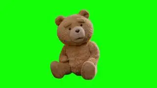 Ted 