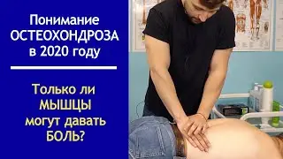 Понимание Остеохондроза в 2020 году. Что болит: мышцы или позвоночник?