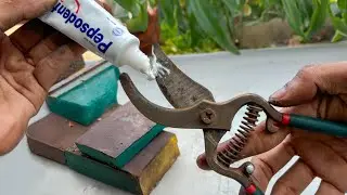 Smart technique to sharpen pruning shears in 4 minutes