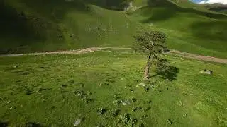АЛЬПИЙСКИЕ ЛУГА МУХИНСКОГО УЩЕЛЬЯ | ДОМБАЙ 2024 | FPV DRONE CINEMATIC