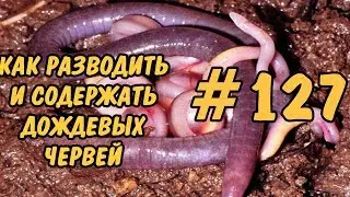 #127