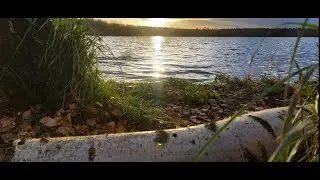 Как и где искать рыбу на новом водаёме!! Рыбалка в Германии.