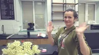 Как ежемесячно зарабатывать на цветах 500 000 рублей чистыми.