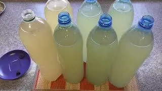 Квас из Бузины. Очень Вкусный Рецепт Бузинового Кваса.Часть 1.