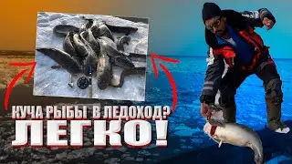 ЕЛЕ УВОЛОК СТОЛЬКО РЫБЫ! РАЗДАЧА ПО ПОЛНОЙ, по последнему льду.