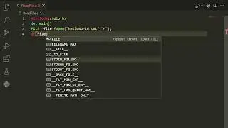 READING A txt FILE IN C
