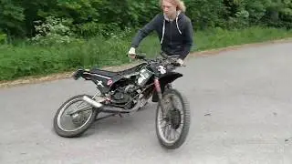 tiger pelleilyt