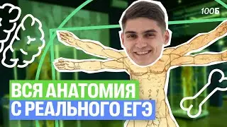 ВСЯ АНАТОМИЯ с реального ЕГЭ по биологии. 1 и 2 части | Марк Ламарк | 100балльный репетитор
