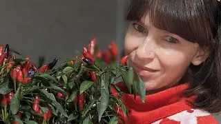Октябрь удивил 🫶 Магия осени