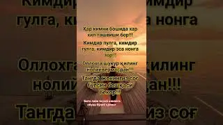 Оллохга шукур қиламиз 
