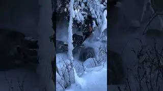 Snow is finally here!