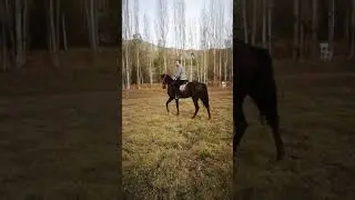 AT BİNMEK ( SİVAS OSMANLI ATLI SPOR KLÜBÜ)