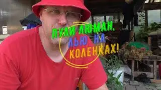 Пули Люман, лью на коленках!