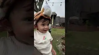 LEXIE LIBURAN DI BAOBAB TAMAN SAFARI PRIGEN KETEMU BANYAK SATWA 