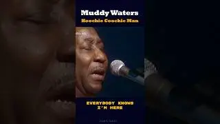 Muddy Waters - Hoochie Coochie Man | Don's Tunes Blues Legends 