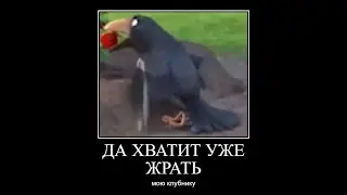 Муд барбоскины демотиватор 31 (finally)