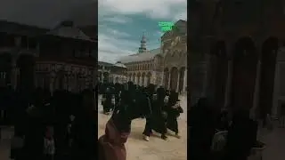 140 женщин в Сирии — “Это наш выбор”