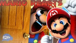 Ow My Pingas! | Mario Reacts To SMG4: Mario Gets His PINGAS Stuck In The Door