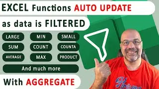 EXCEL Functions auto-update as data is Filtered  [AGGREGATE]