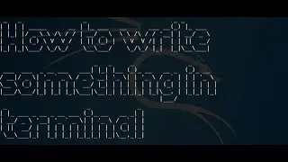 How to write something in the terminal on Kali Linux