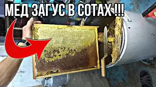 ПОСЛЕДНЯЯ ОТКАЧКА МЕДА 2020 !!!
