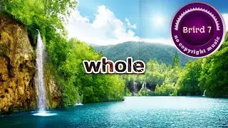 Whole-Chime & Adam Tell {no ©} [ Brird7 release] #ncs #nocopyrightmusic