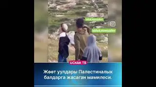 ЖӨӨТТӨРДҮН БАЛДАРЫ ПАЛЕСТИНАЛЫК БАЛДАРГА КЫЛГАН МАМИЛЕСИ😥
