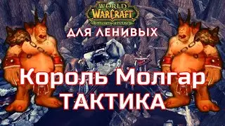 Логово Груула тактика Король Молгар The Burning Crusade для ленивых