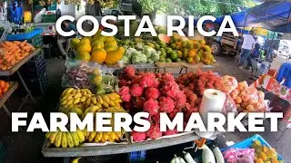 COSTA RICA FRESH FOOD 🥭Farmer's Market In Liberia, Guanacaste #costarica #travelvlog #vlog