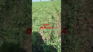 3 мая 2024 г.