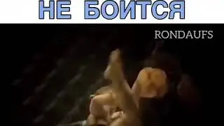 ДЕВУШКА КОТОРАЯ НИЧЕГО НЕ БОИТСЯ//РОНДА РОУЗИ