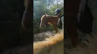 Hose training and best view