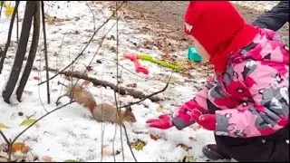 Настя в лесу кормит белочек