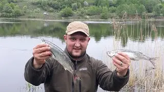 Река Волхов/Ловля чехони и сопы.